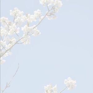 Meet your Posher, Jenifer